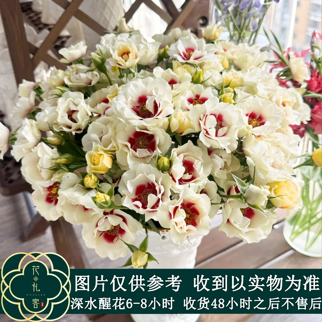 云花巷# 【魔眼少女】稀有小众品种