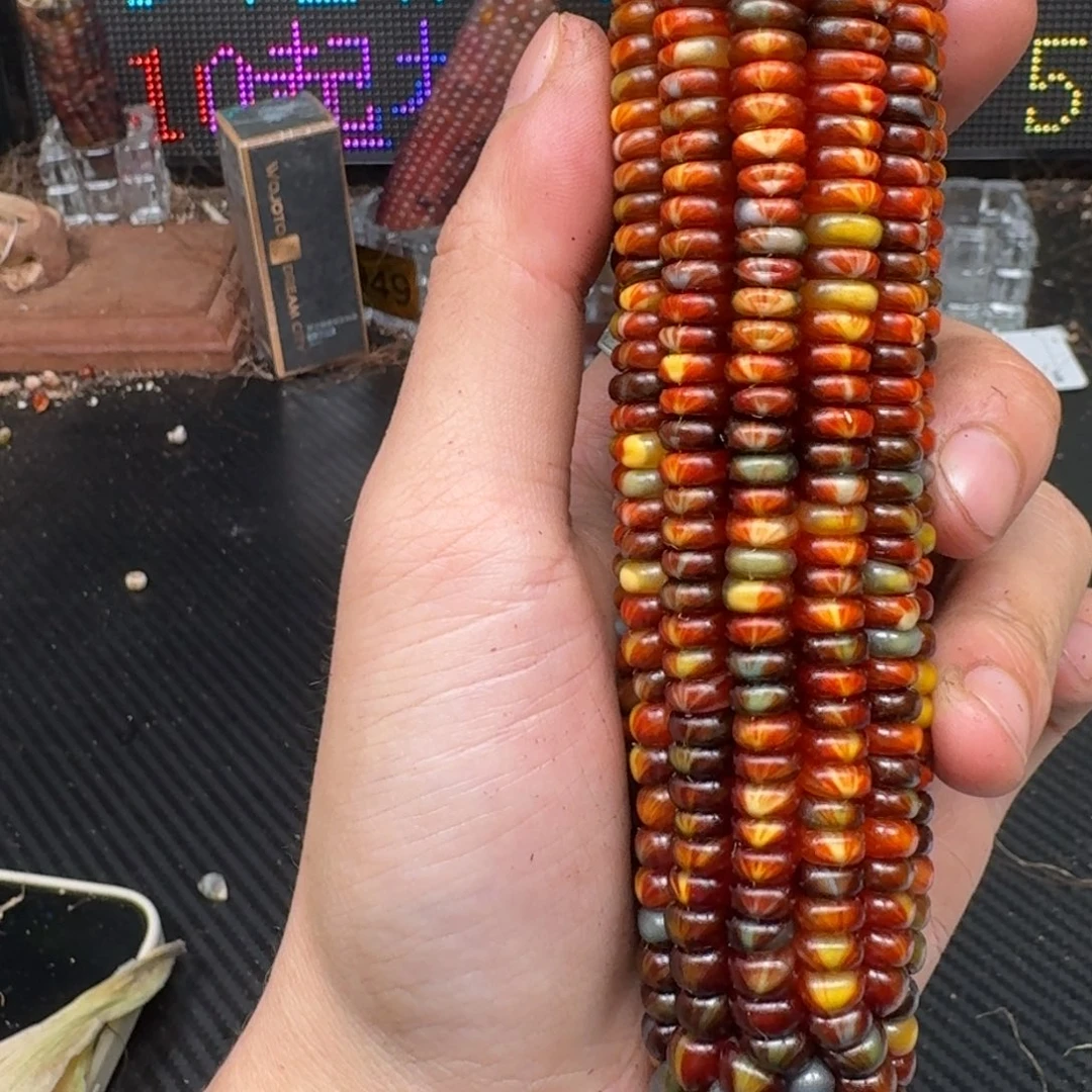 柏香籽/百香籽吊坠璐*