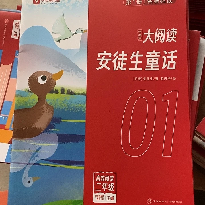 二年级大阅读读安徒生，散装