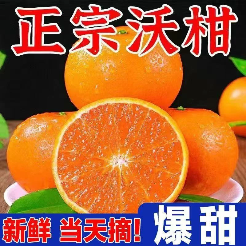 TX【实惠好吃】正宗云南沃柑新鲜现发云南桔子超甜整箱10斤包邮