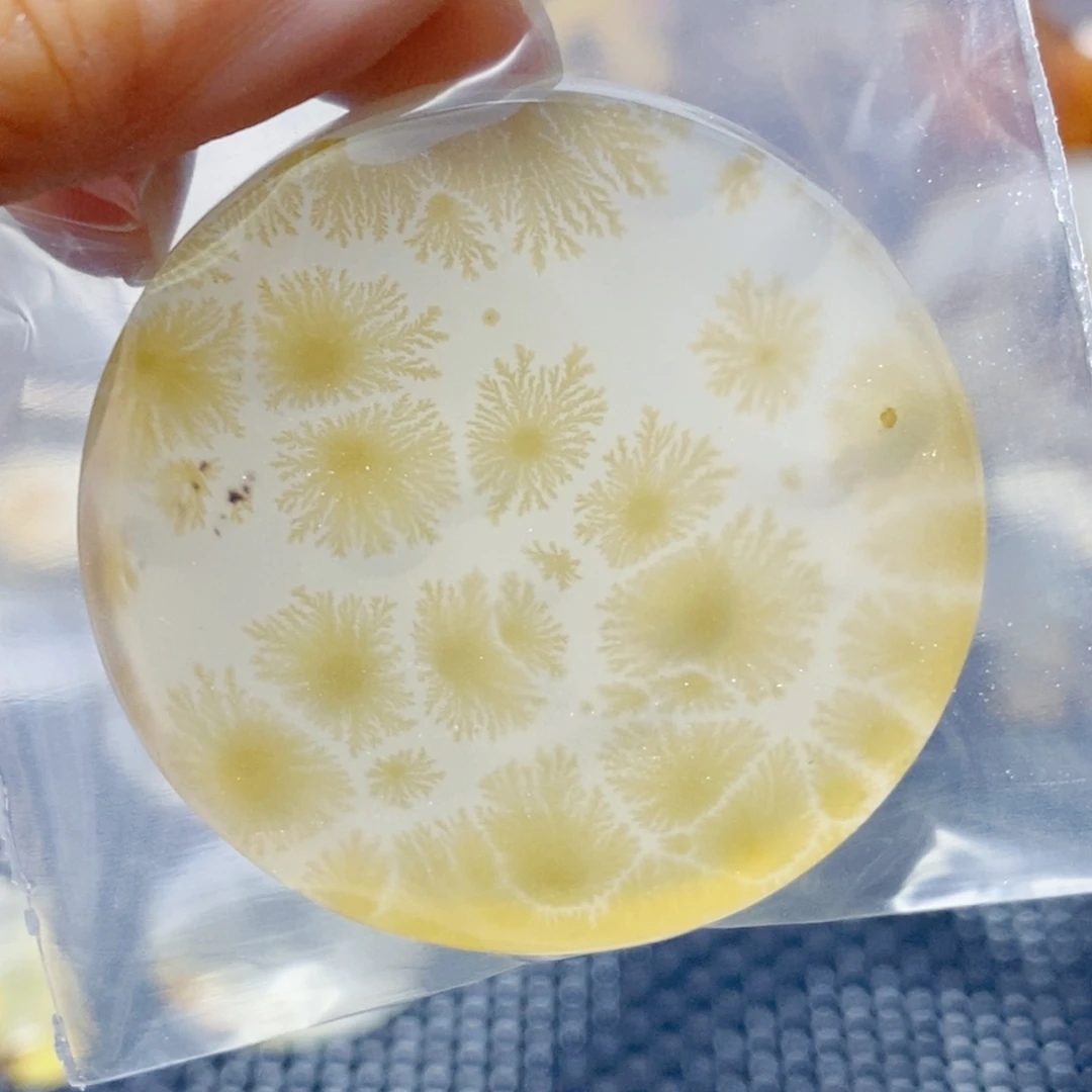 一***诺玛瑙/玉髓未镶嵌珠宝奇石