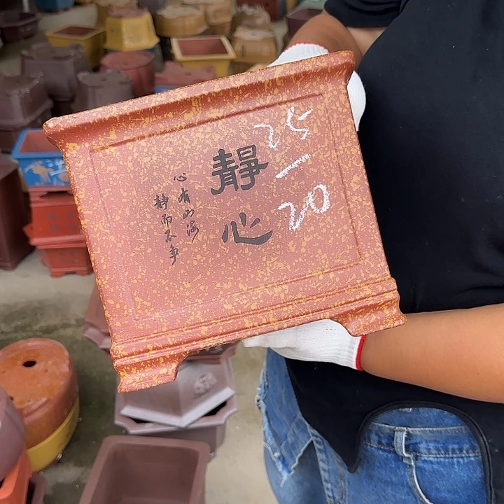真的想看这篇视频啦