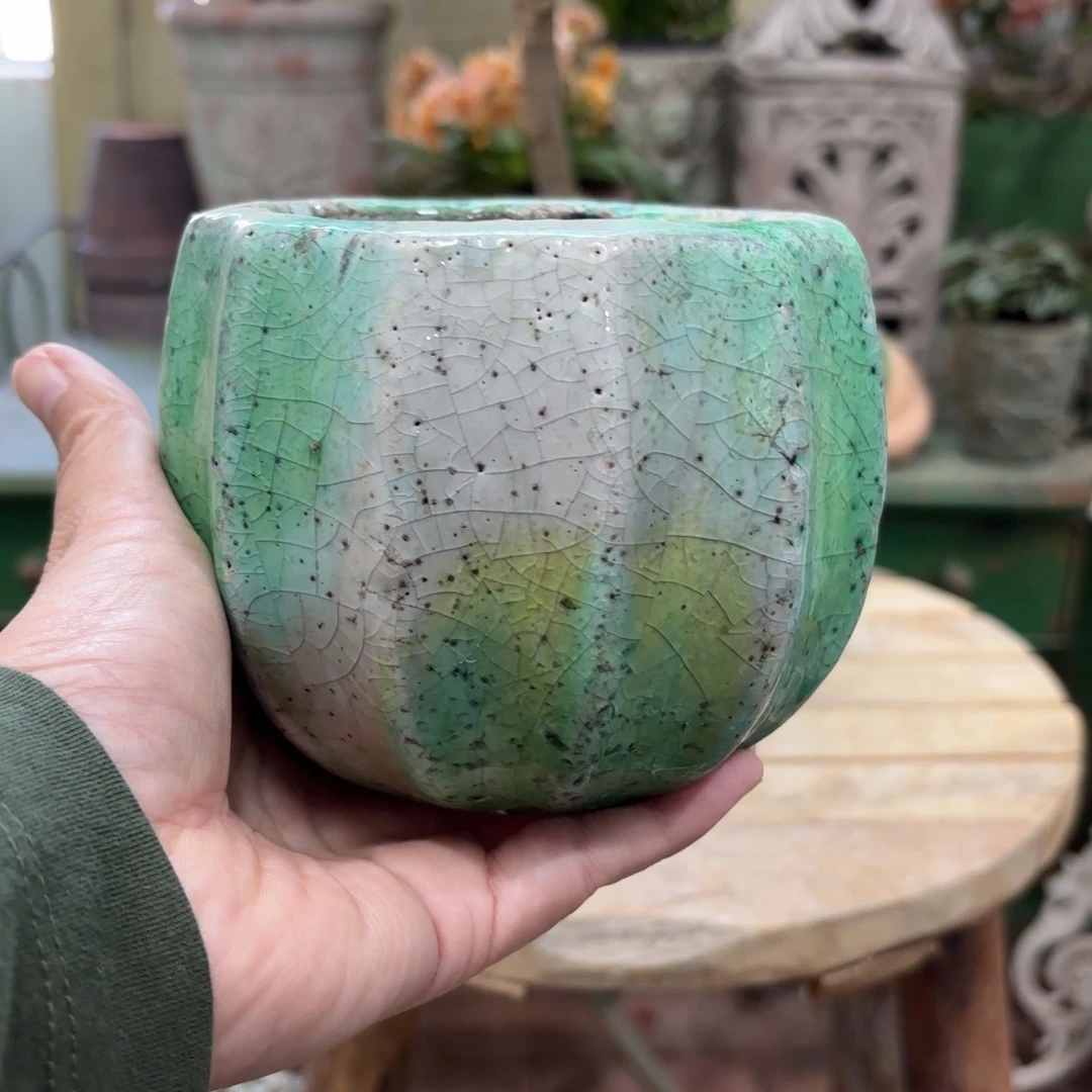 许纯的花房 孤品665