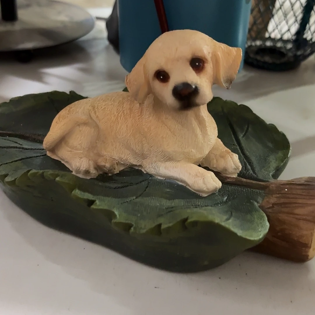 核桃木/黑胡桃（胡桃木）