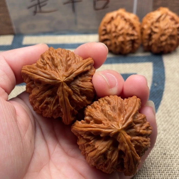 粼***墨核桃白狮子40核桃