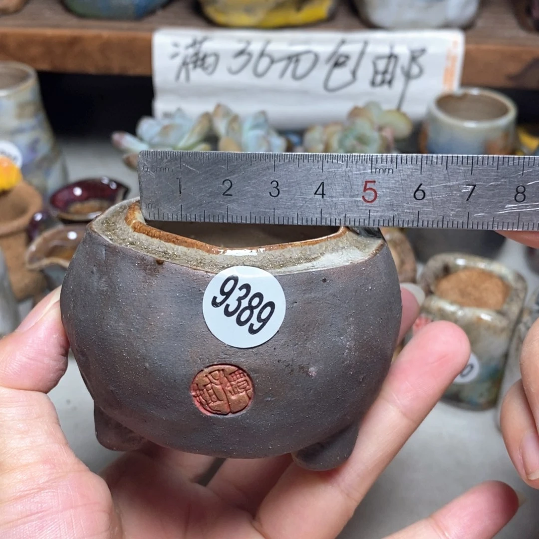拍3送一个小礼物