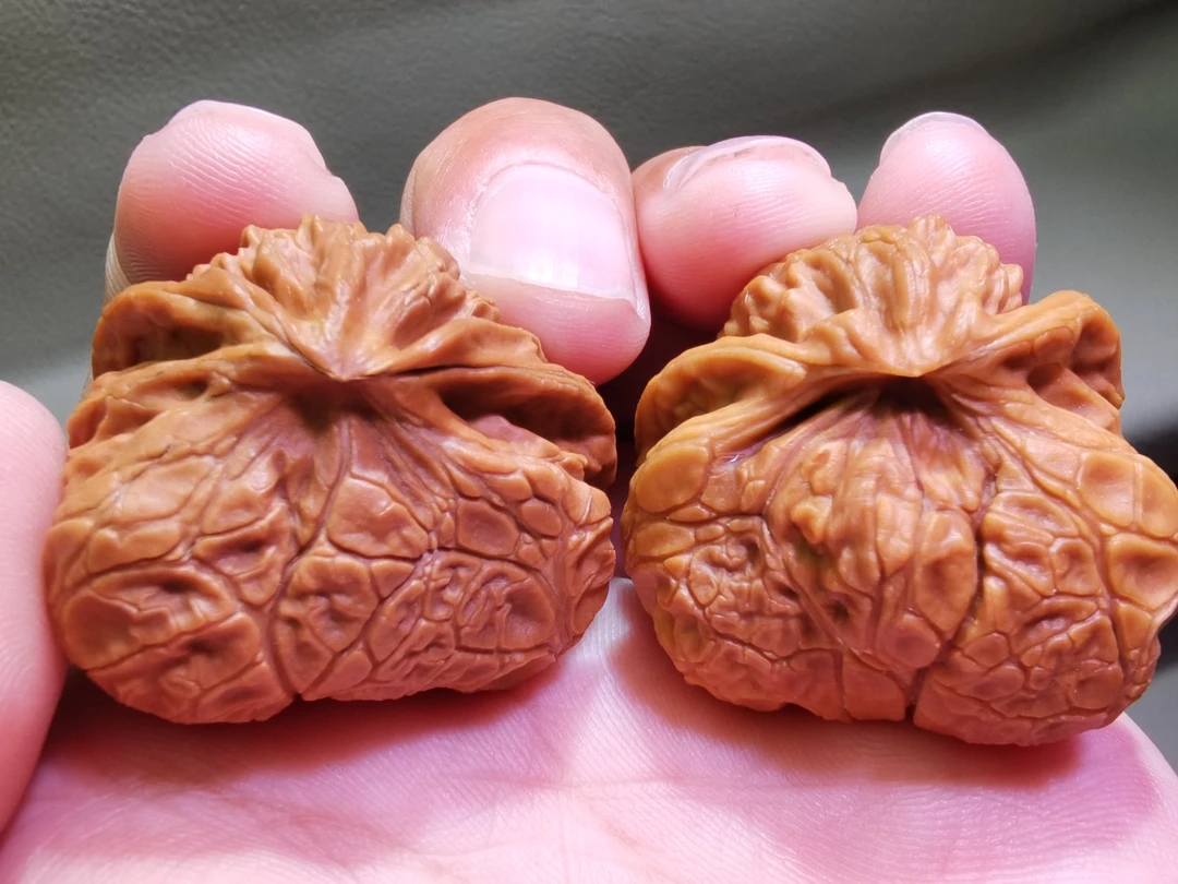 宫灯蛇头正勾大蛇皮纹路土豪级异形手把件纯天然文玩麻核桃