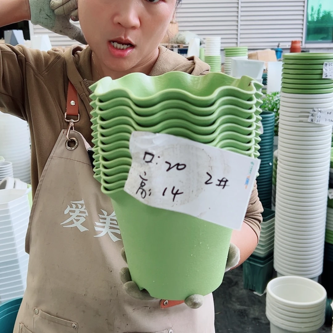 瑕疵荷叶边2#果绿色8个无托