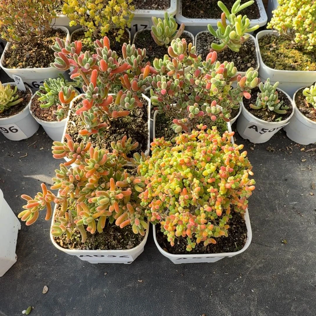 水***夜A632 554 630 631