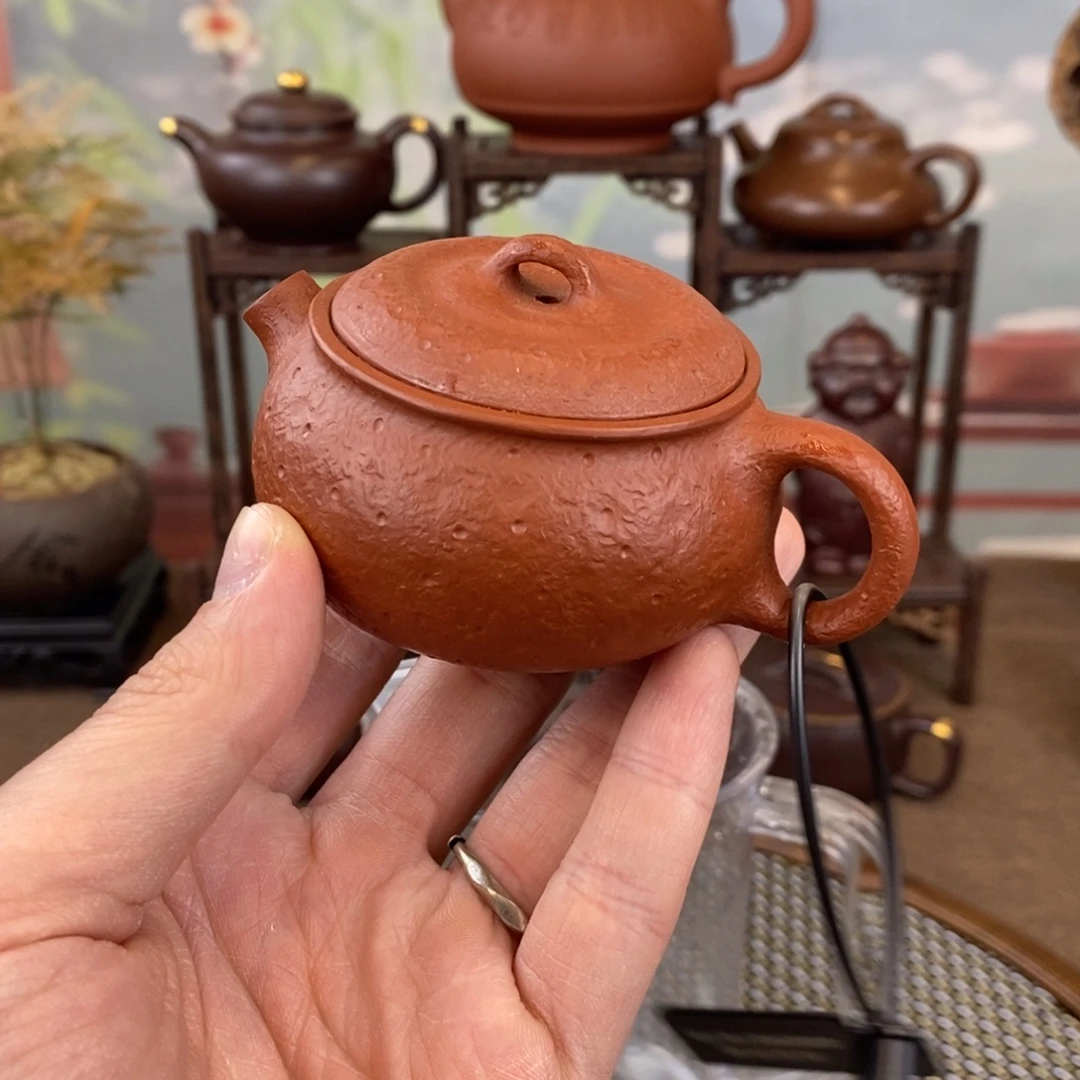 紫砂茶壶宜兴紫砂100