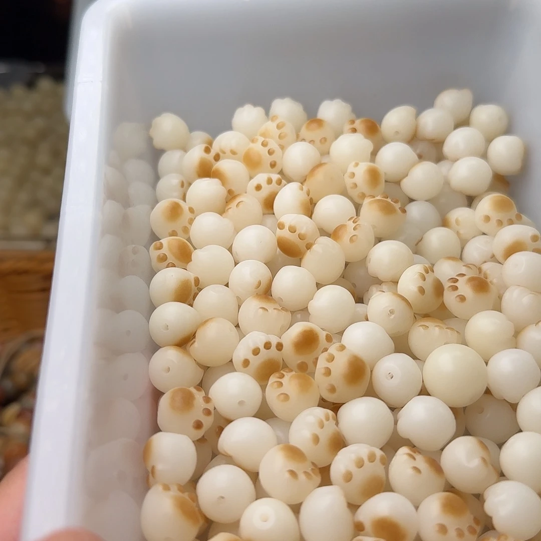 手串菩提根/象牙果20颗炭烧猫爪12