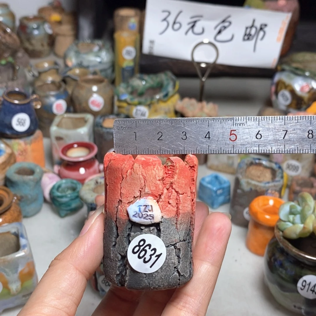 拍3送一个小礼物