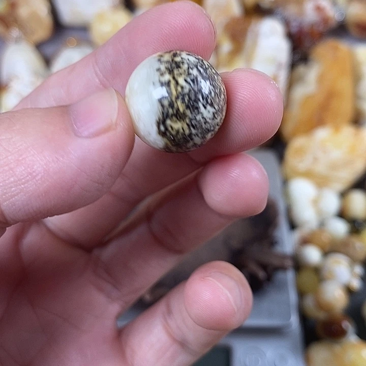 琥珀未镶嵌裸石我
