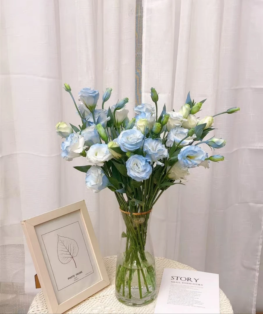 【万紫专属】碎冰蓝洋桔梗400g