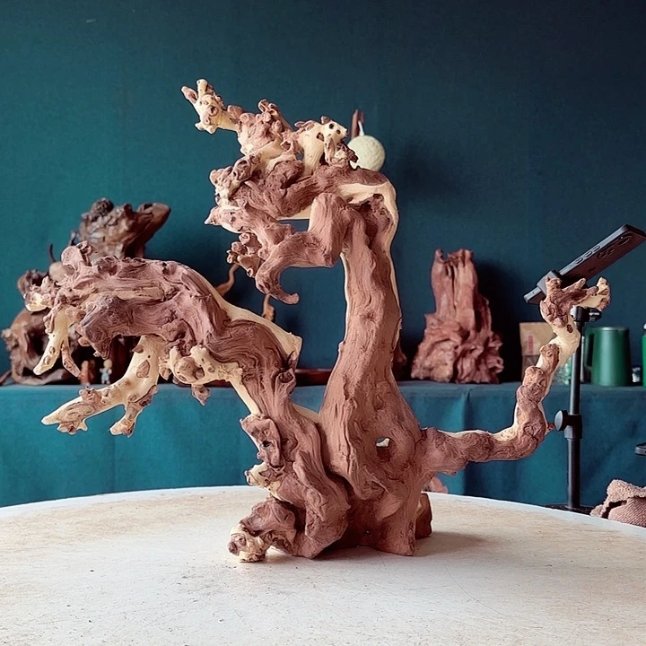 黑果木瑞*楼597金丝红木羊蹄甲半成品