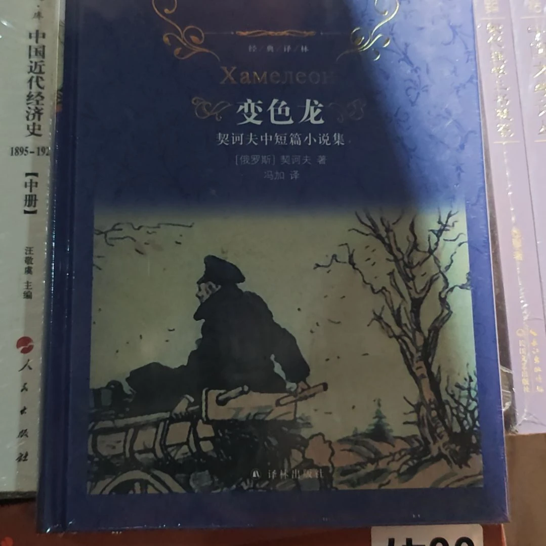 变色龙精装塑封全新