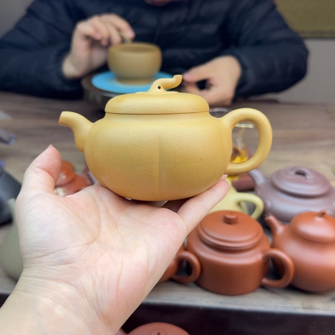 紫砂茶壶半手工黄金段南瓜230cc