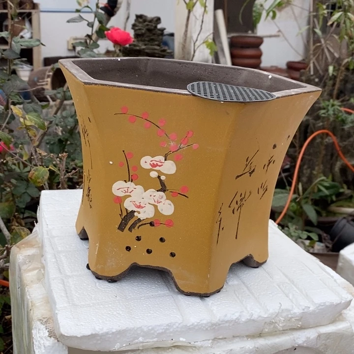 厚***）花盆紫砂只顾自己的