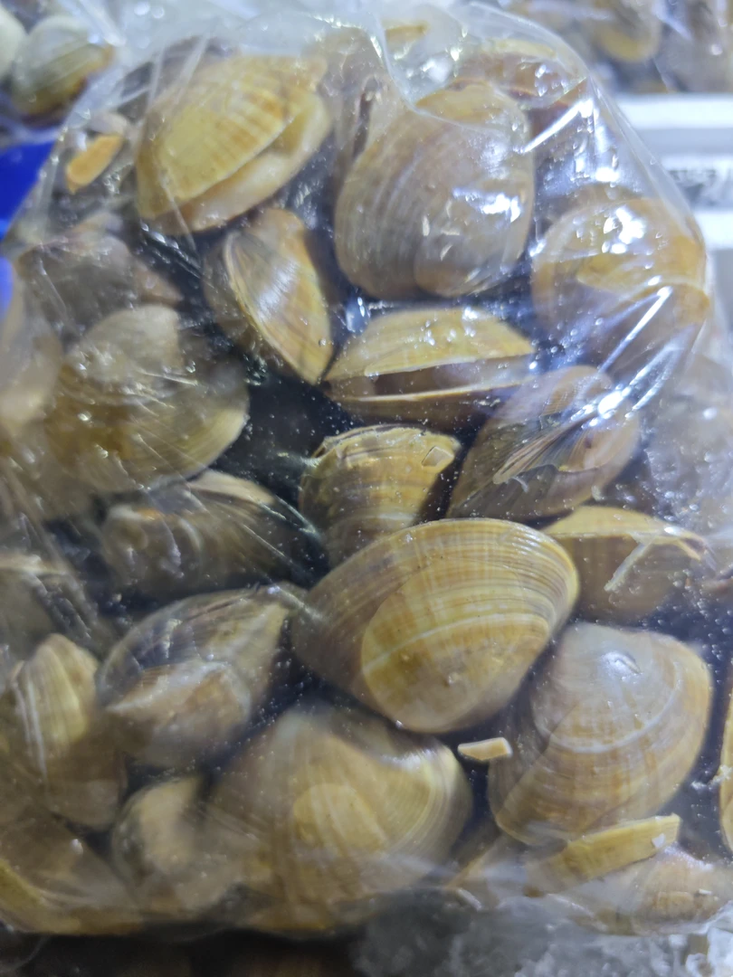 黄蚬子4.5斤壳薄运输碎壳正常现象海鲜活鲜百分10-15吐水掉称有沙