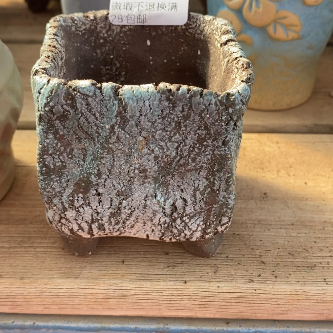 81号多肉盆口径6小可爱