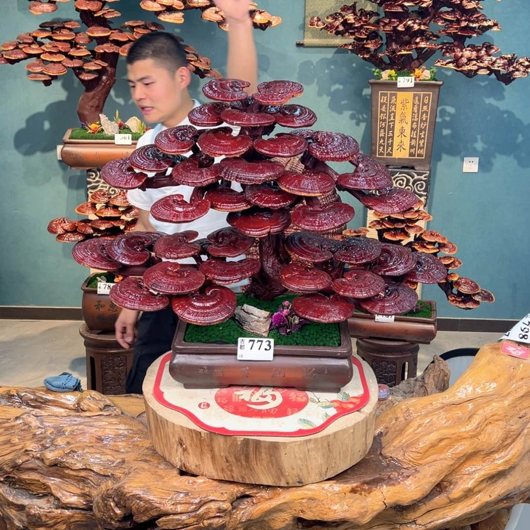 无花朵88888888888