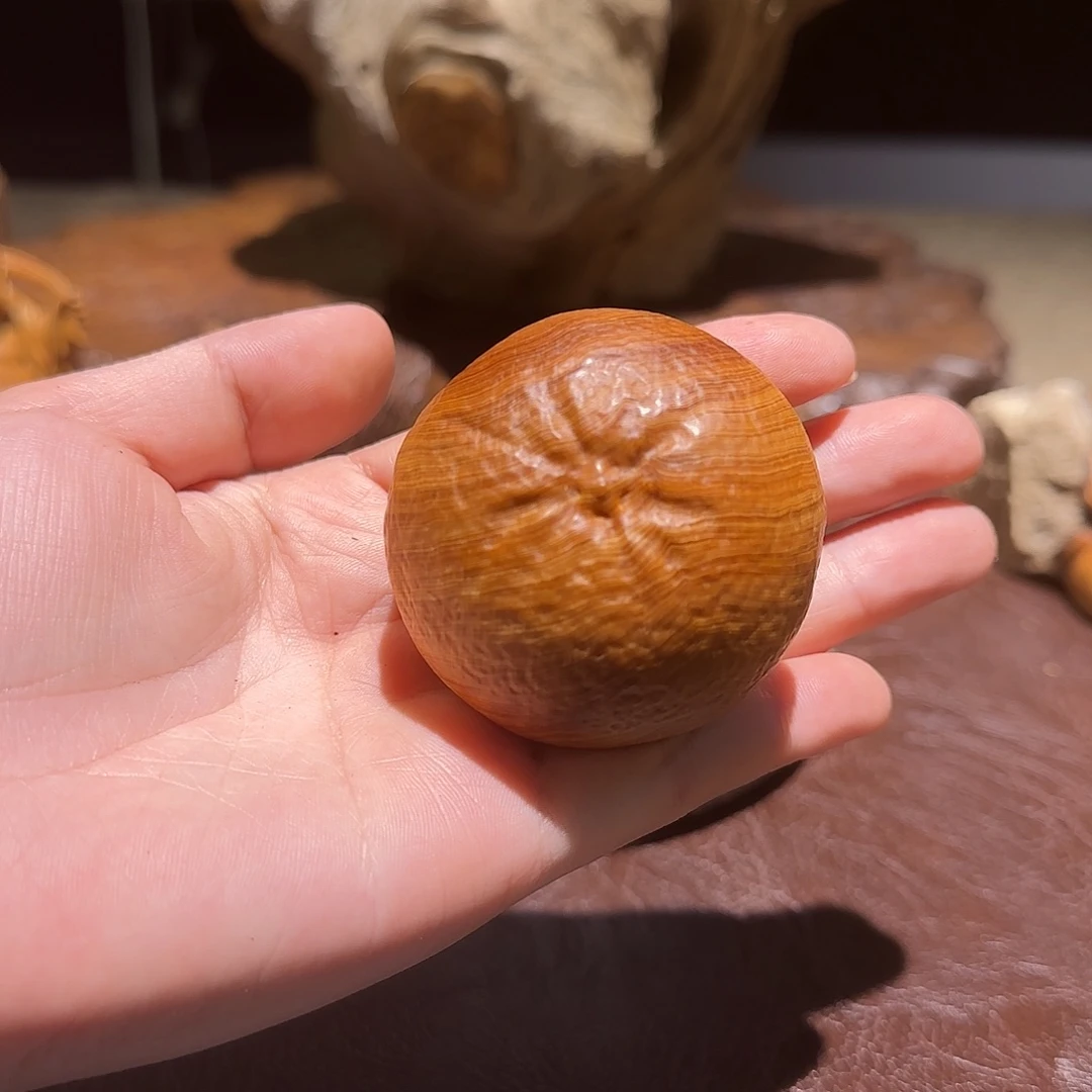 柏木（崖柏）太行集团