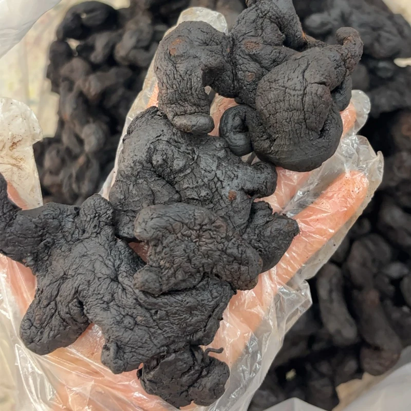 初级农产品下山货现收九制软糯香甜食用叶菜