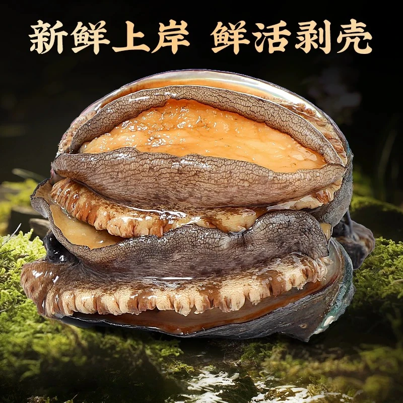 新鲜上岸鲜活剥壳 鲍鱼肉 顺丰发货