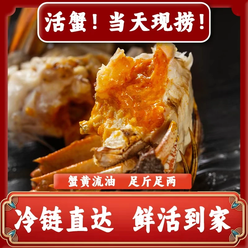 【活蟹现发】鲜活大闸蟹全母蟹3.5-3.2两买8+2到手10只