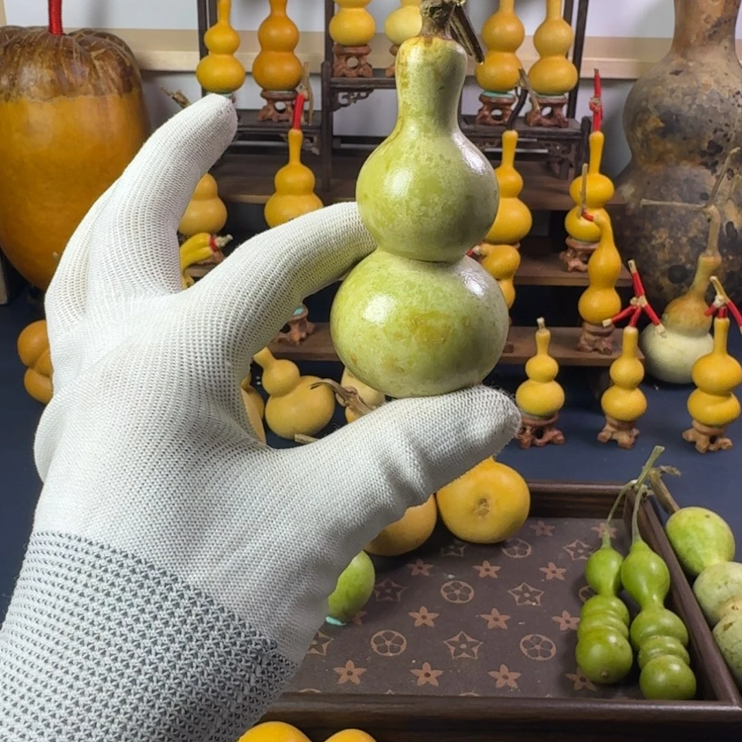 直播间葫芦专项链接