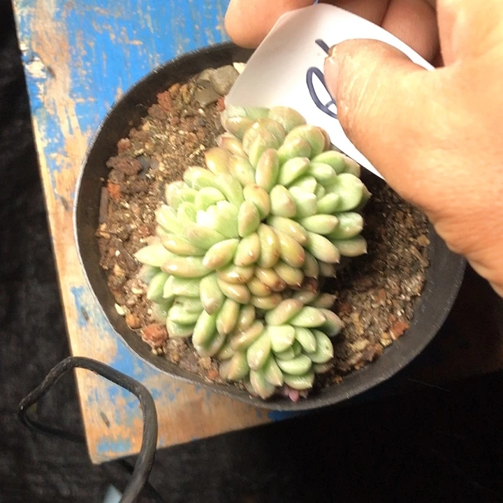 嫑**怹86/////////////////