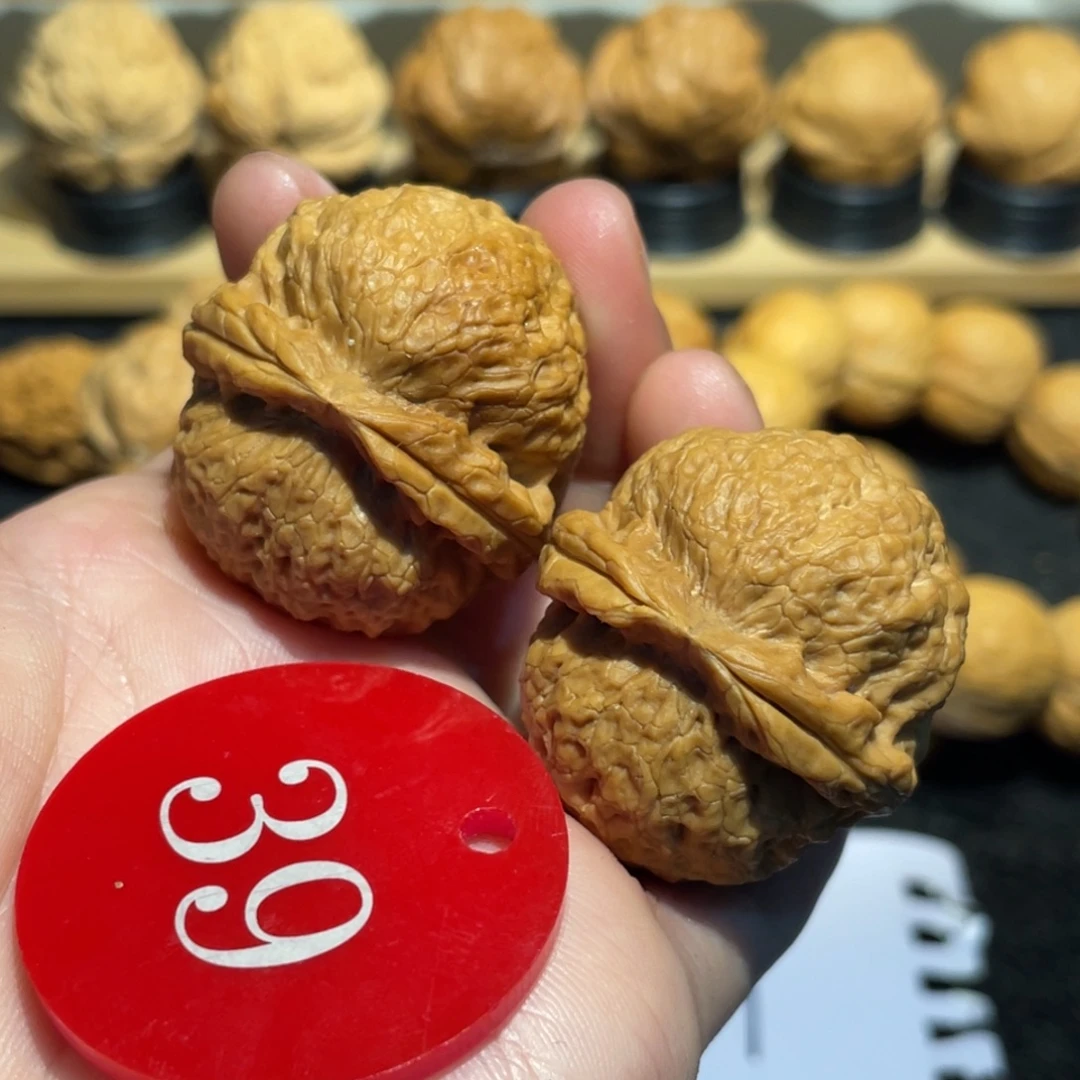 烈焰绣球核桃微彩36