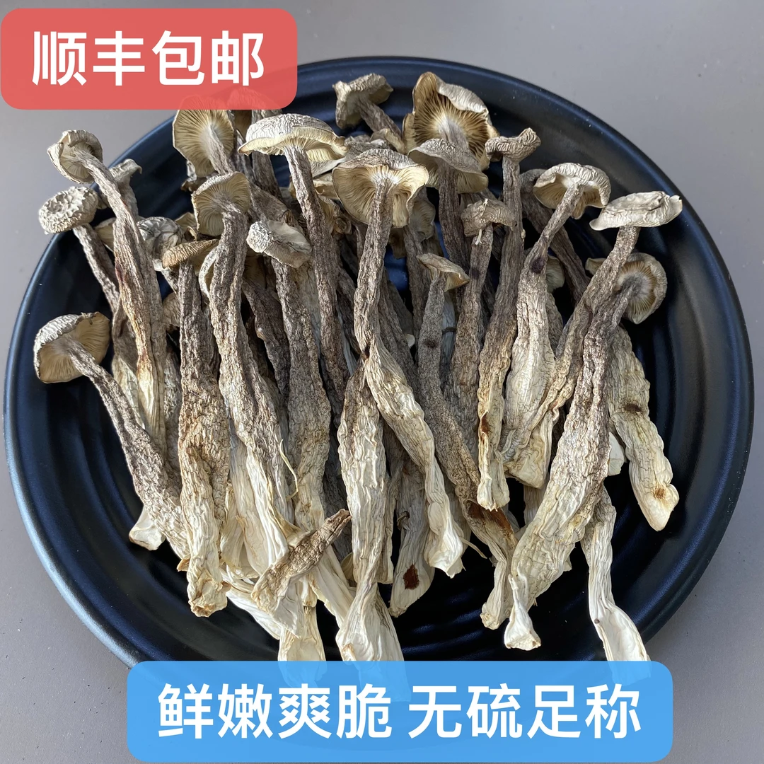 【翠凤】鹿茸菇浓浓的菌香味爆炒肉片美味煲汤鲜美口感嫩爽脆