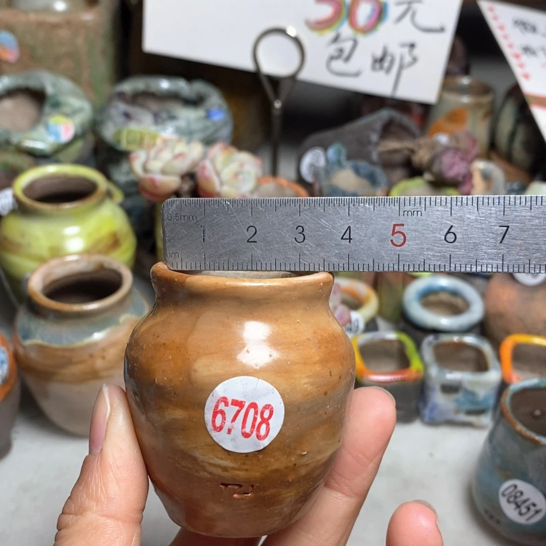 花盆拍5送一个小礼物