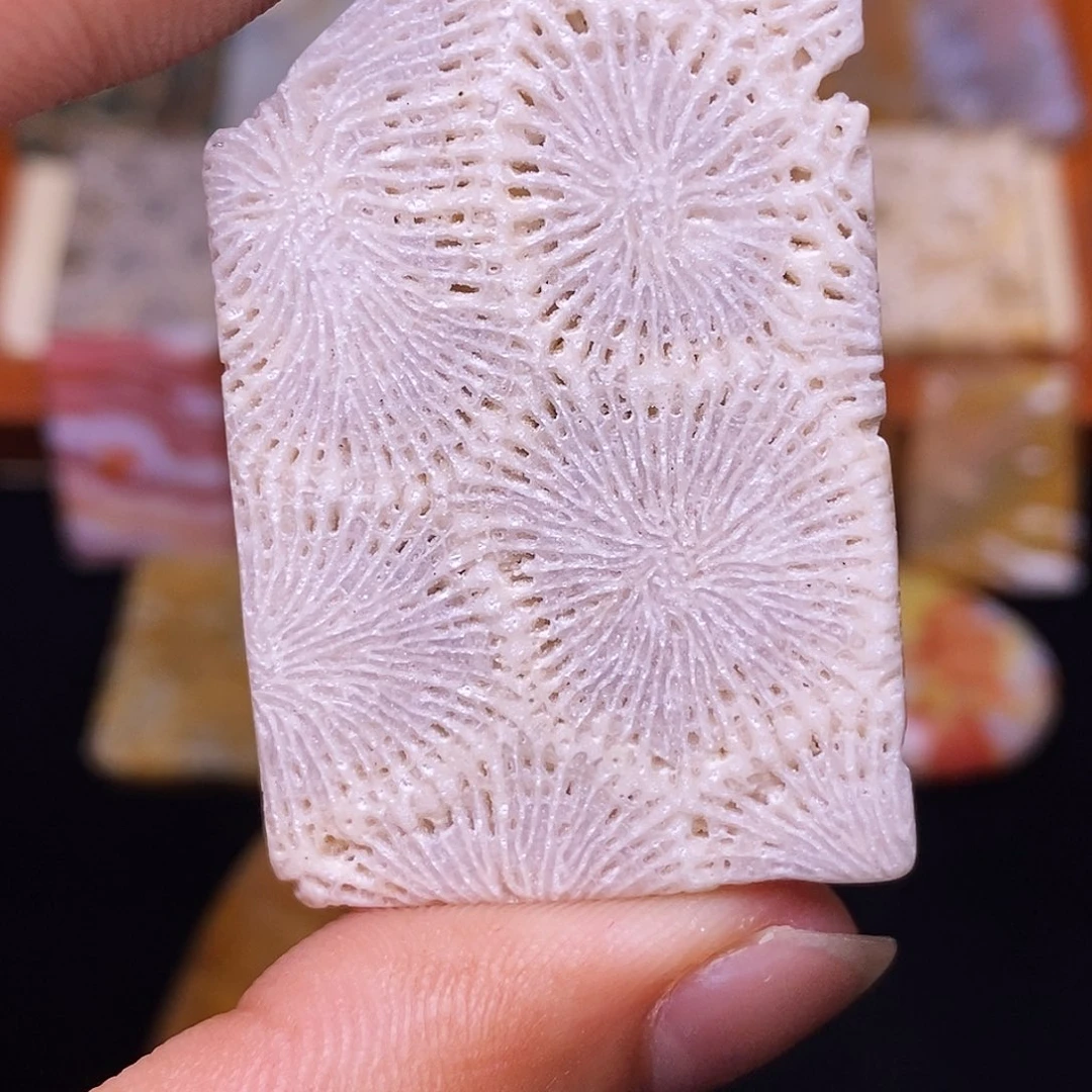 一***班合金珊瑚玉硅化玉