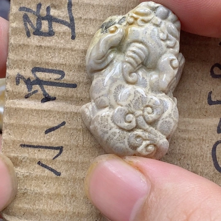 颈饰未镶嵌硅化珊瑚（珊瑚玉）s**.