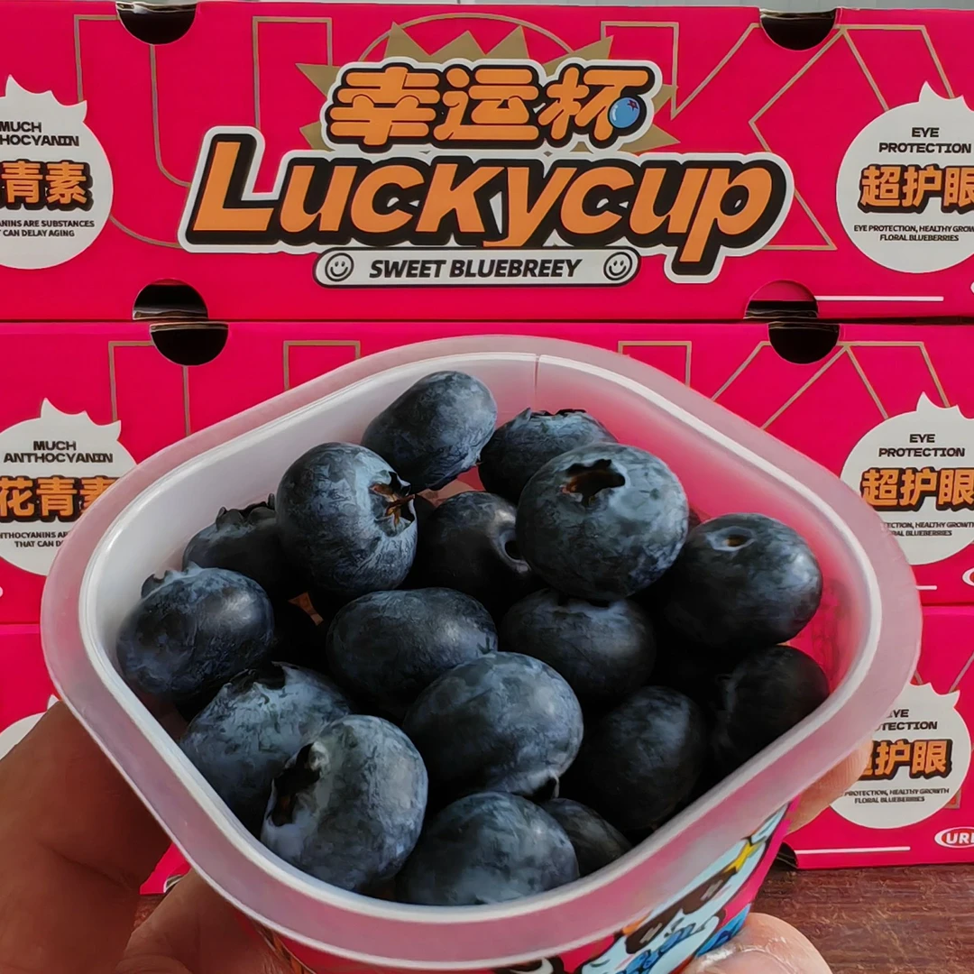 云南高山蓝莓 杯装单杯60克脆甜满口花香15+mm云南蓝莓云南省西双版纳傣族自治州