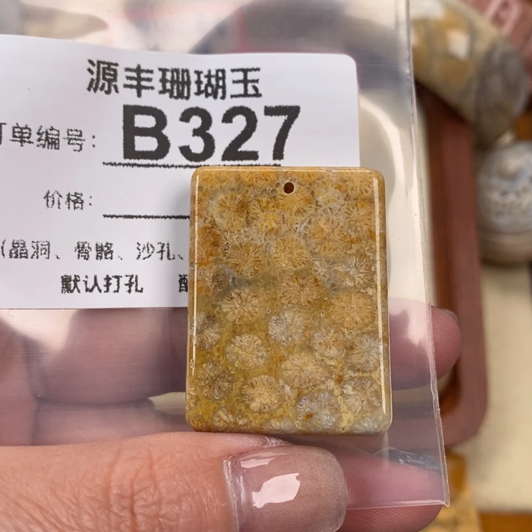 硅化玉颈饰未镶嵌小*