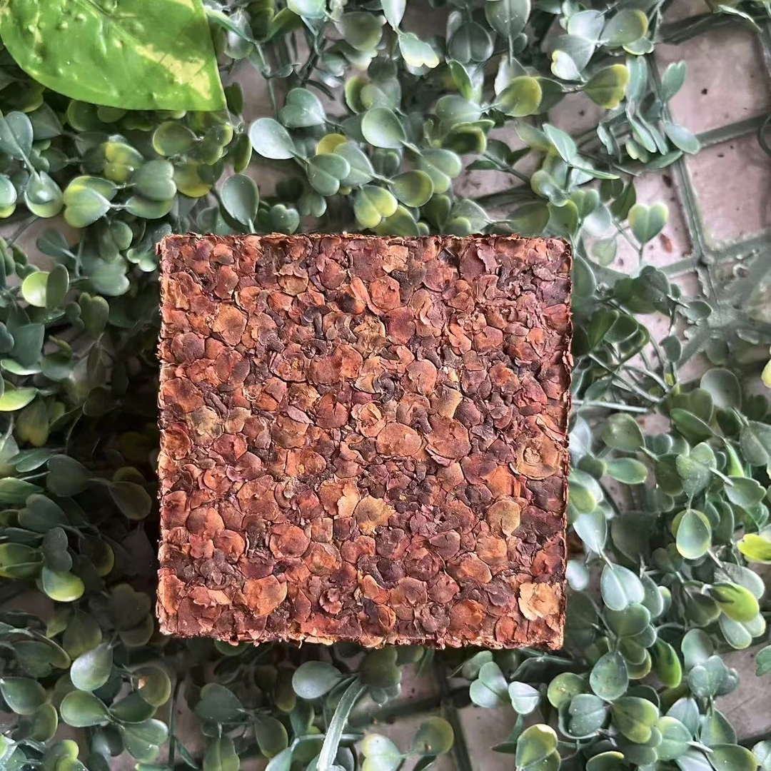 雨腾古茶 阁中B”天X永乐真本万N大红梅L果”200g/砖 （4月5）