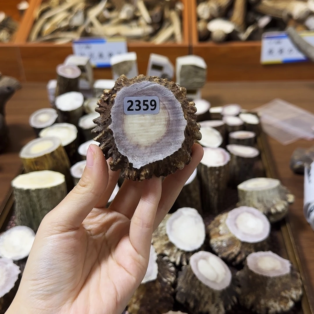 鹿骨手串/手链2359