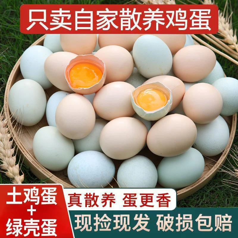 【50枚混合装土鸡蛋】贵州农家跑山鸡谷物蛋散养新鲜现发土鸡蛋