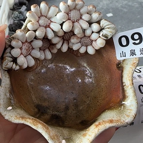 瓷片柴烧柴烧柴烧094