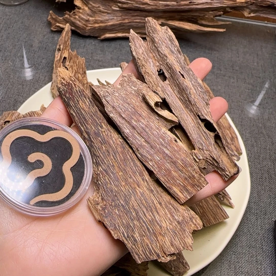 海南虫漏碎料23克
