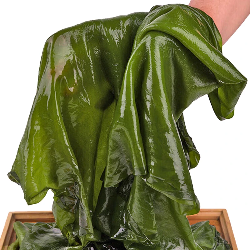 2025新下头茬新鲜盐渍海带带箱5斤