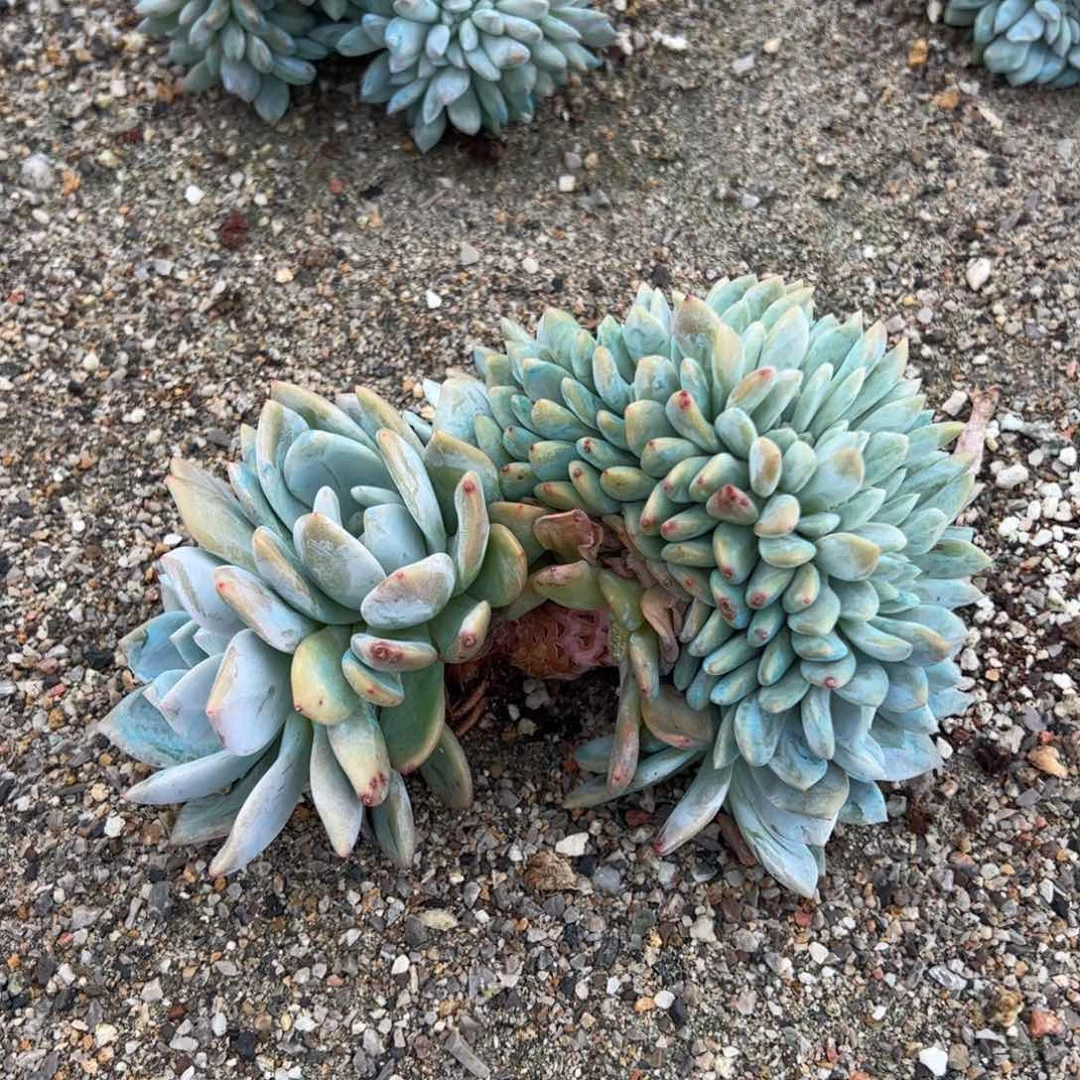 地地道道的点点滴滴