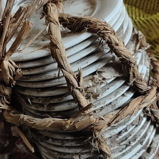 瓷发二十，口径19国营四厂库存货