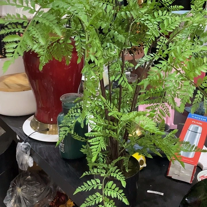 陶瓷花瓶部分微瑕
