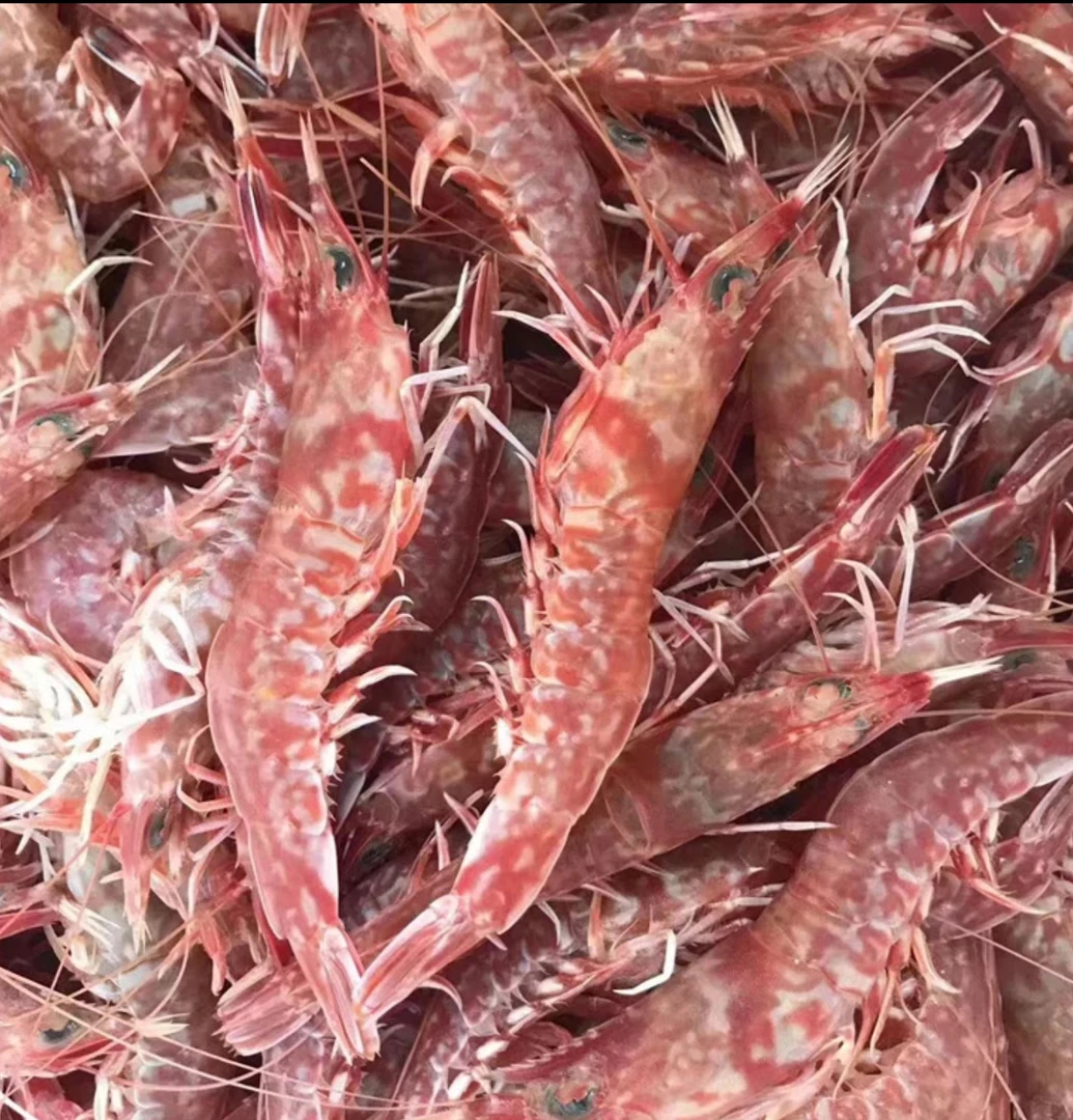 东海野生海捕樱花虾沙虾玫瑰虾火焰虾 顺丰冷链（需要去虾线）