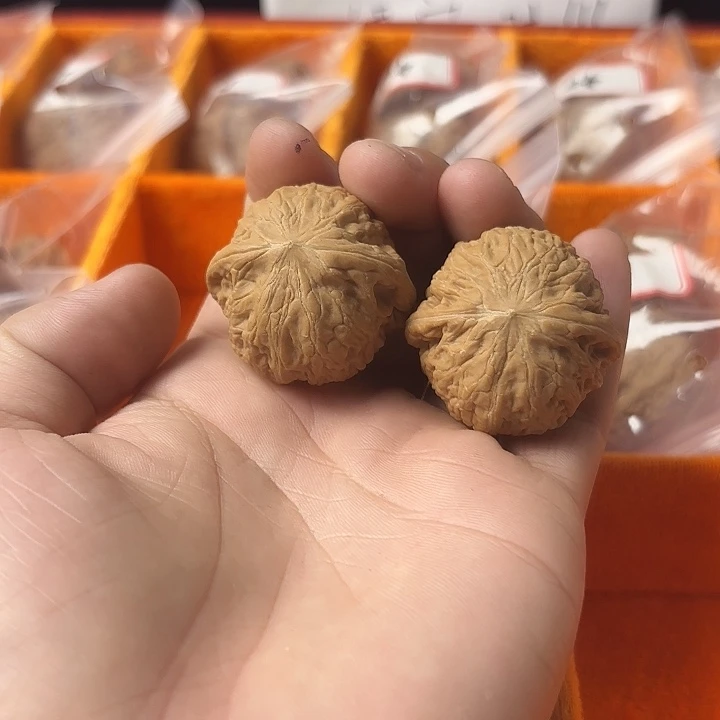 大叶紫檀（黑酸枝木类）