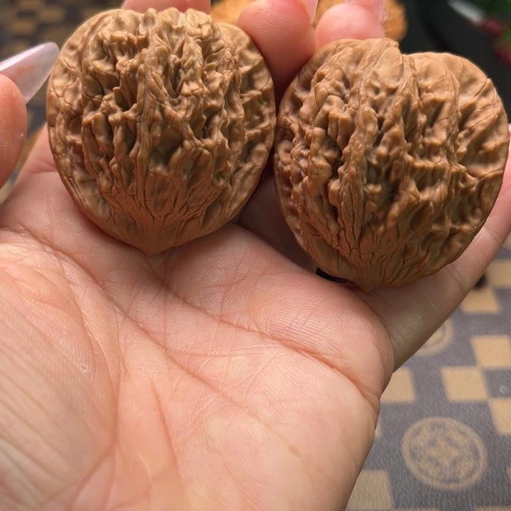 核桃43粗筋麦穗虎头